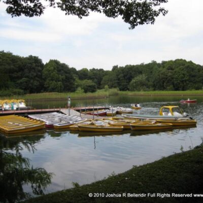 Showa Kinen Koen Water Park