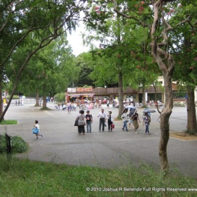 Showa Kinen Koen Water Park