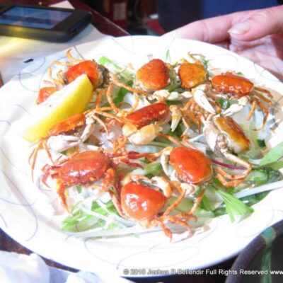Andy’s Shin Hinomoto