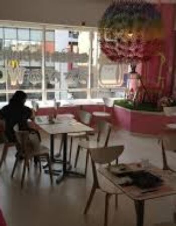 Usagi no Wonderland Rabbit Cafe