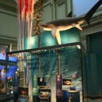 Smithsonian National Museum of Natural History