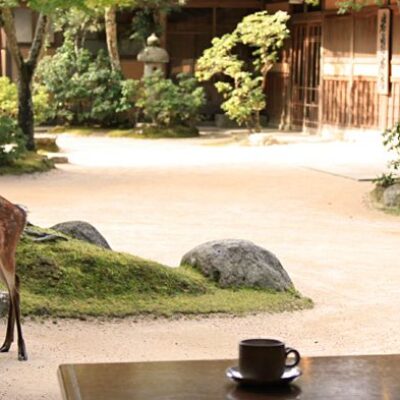 Iwaso