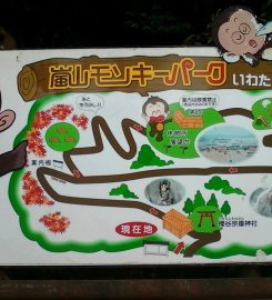 Iwatayama Monkey Park