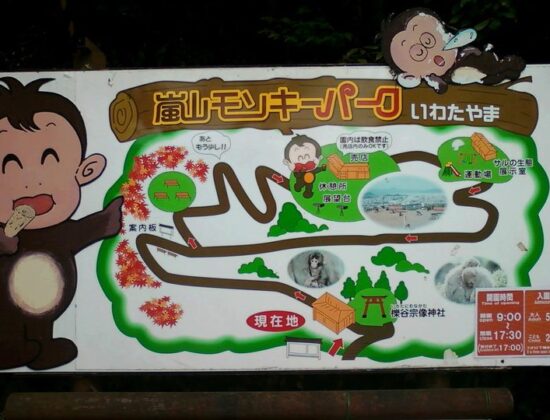 Iwatayama Monkey Park