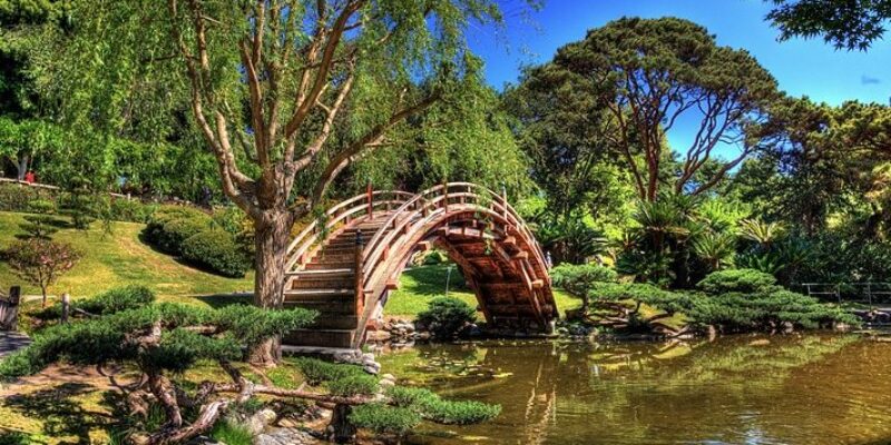 The Japanese Garden