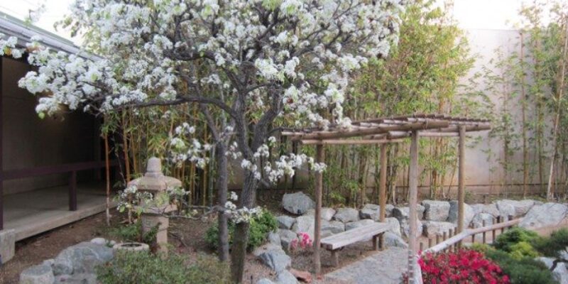 The Japanese Garden