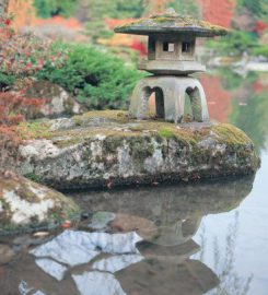 Japanese Tea Garden