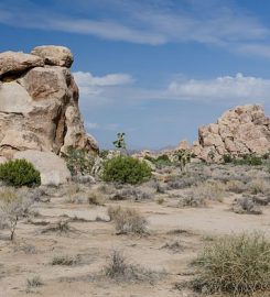 Joshua Tree National Park