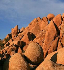 Joshua Tree National Park