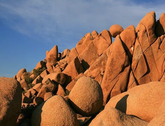 Joshua Tree National Park