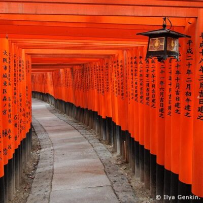 Fushimi Inari-taisha