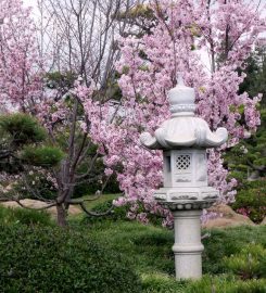 SuihoEn, the Japanese Garden