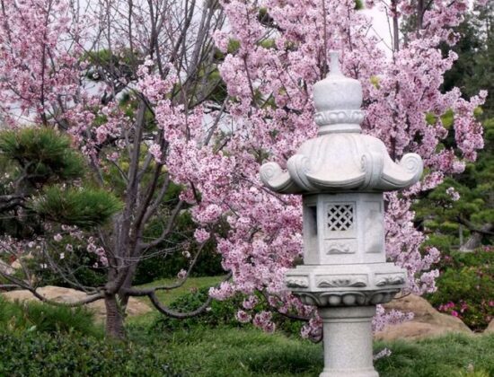 SuihoEn, the Japanese Garden