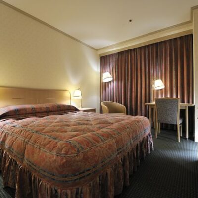 Kichijoji Dai-ichi Hotel