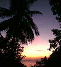 Koh Tao