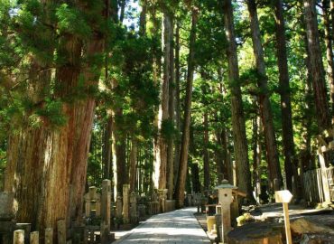 Koyasan Okunoin