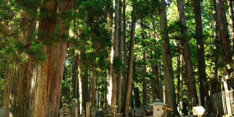 Koyasan Okunoin