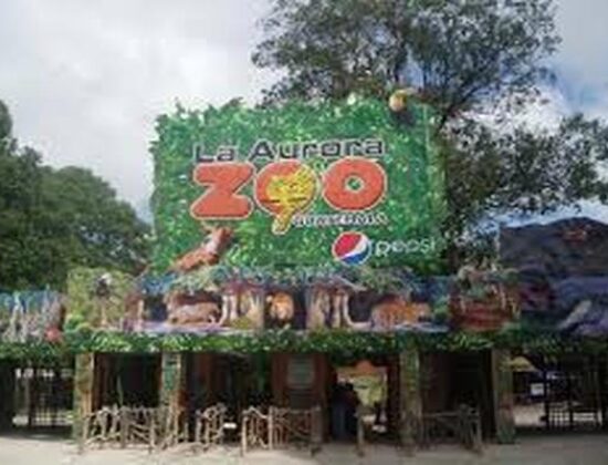 La Aurora Zoo