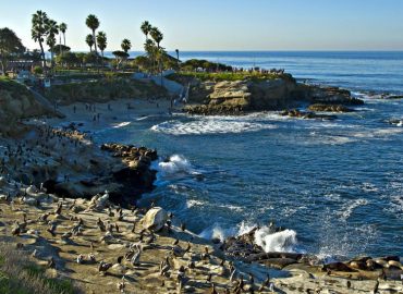 La Jolla Cove