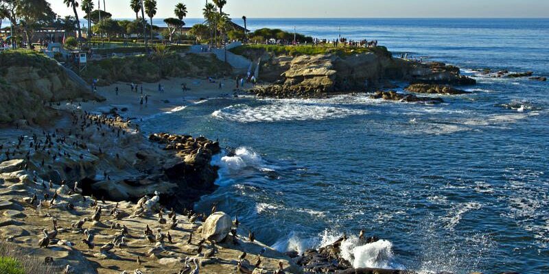 La Jolla Cove