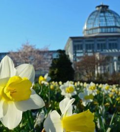 Lewis Ginter Botanical Garden