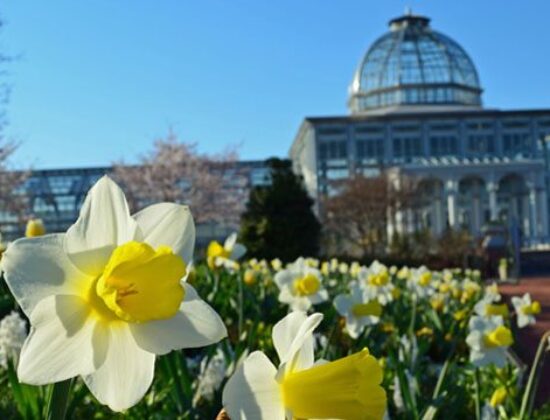 Lewis Ginter Botanical Garden