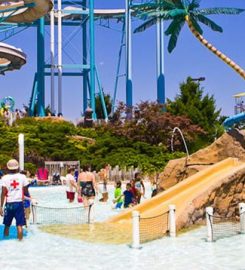 Dorney Park Wildwater Kingdom