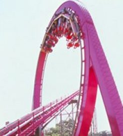 Yomiuri Land