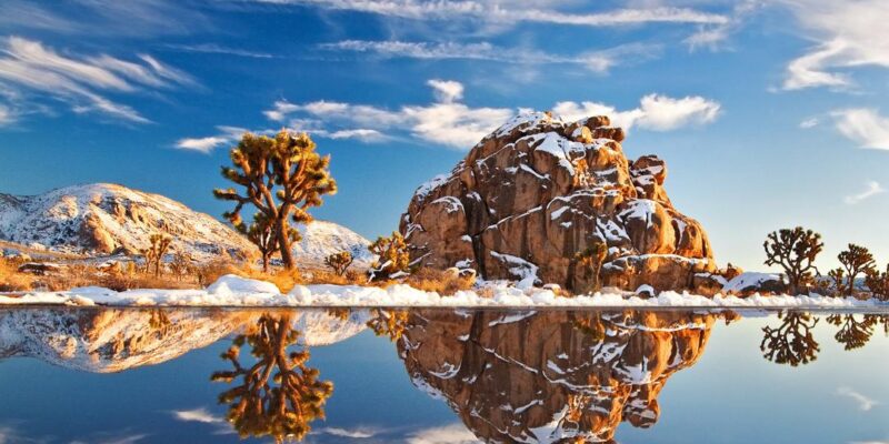 Joshua Tree Park