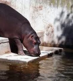 Madrid Zoo Aquarium