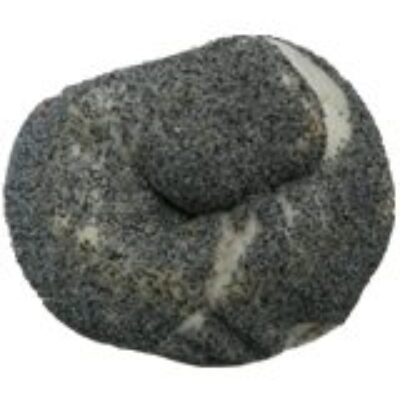 Maruichi Bagel