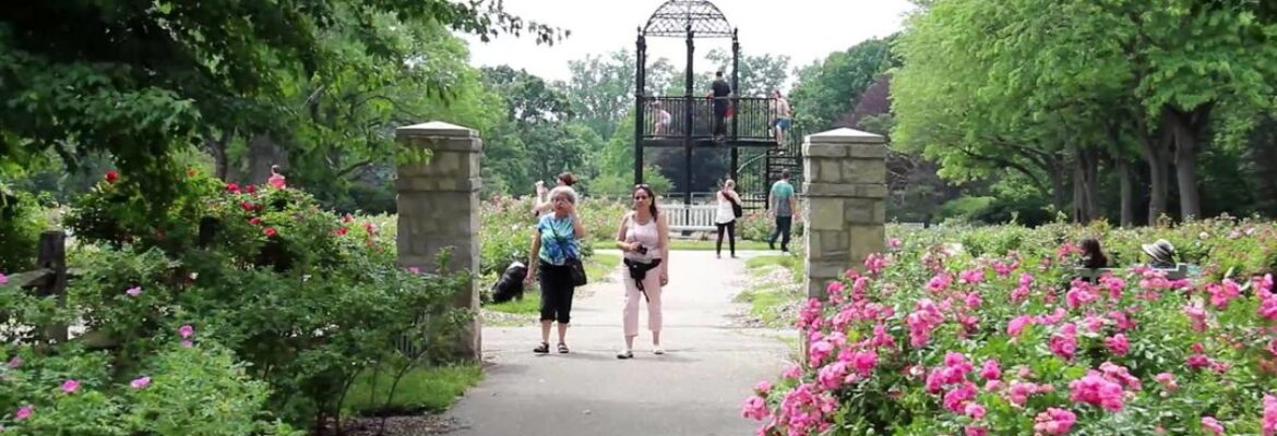 Columbus Park of Roses