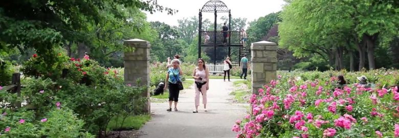 Columbus Park of Roses