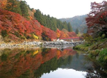 Meiji Memorial Forest Mino Quasi-National Park