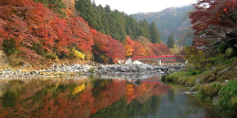 Meiji Memorial Forest Mino Quasi-National Park