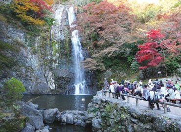 Meiji Memorial Forest Mino Quasi-National Park