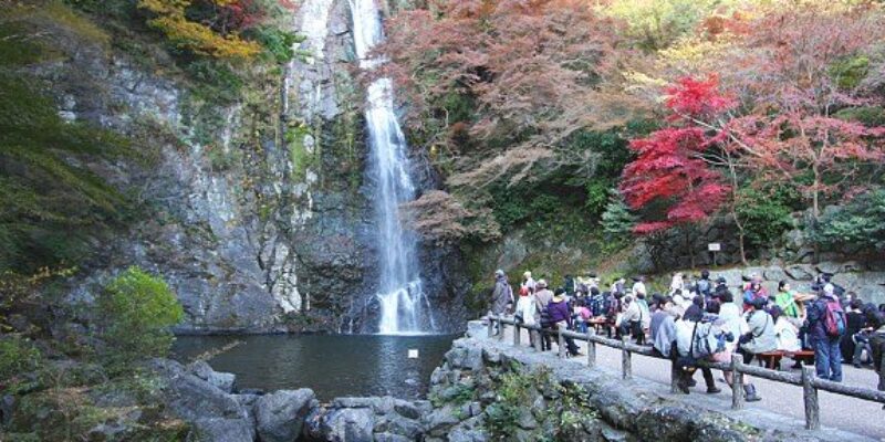 Meiji Memorial Forest Mino Quasi-National Park