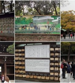 Meiji Shrine 明治神宮