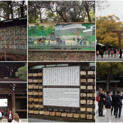 Meiji Shrine 明治神宮