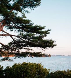 Matsushima (松島)