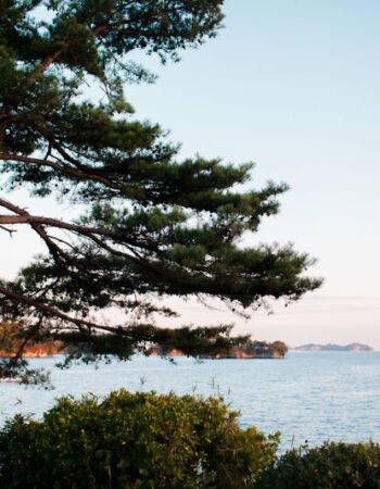 Matsushima (松島)