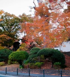 Matsushima (松島)