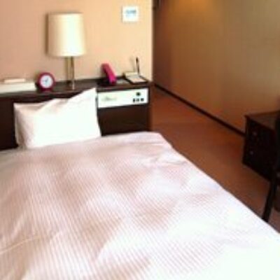 Millennia Hotel Matsuyama