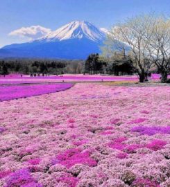 Mount Fuji