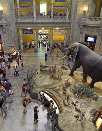 American Museum of Natural History