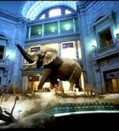 National Museum of Natural Sciences