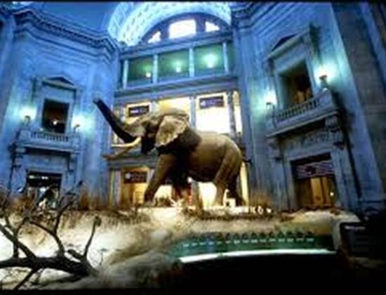 National Museum of Natural Sciences