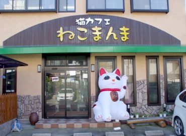 Neko Cafe Neko Manma