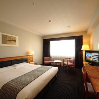 Hotel Nikko Nara