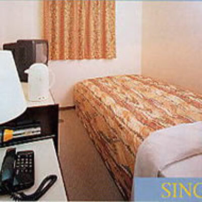 Busines Hotel Nissei